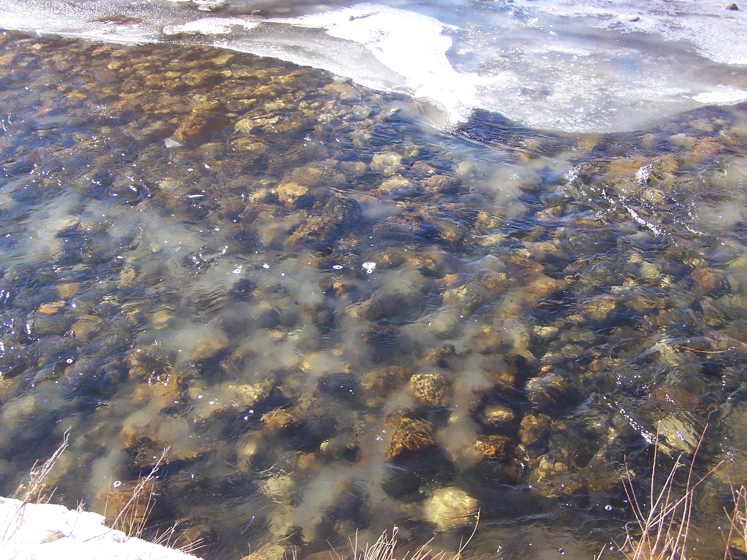 Anchor Ice in Rush Creek Anchor ice is ice that forms on the bottom of a stream bed.