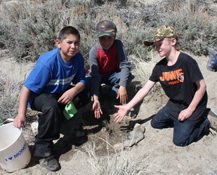 Lee Vining Elementary kids give Lee Vining Creek trees for Earth Day. Photo by Santiago Escruceria.