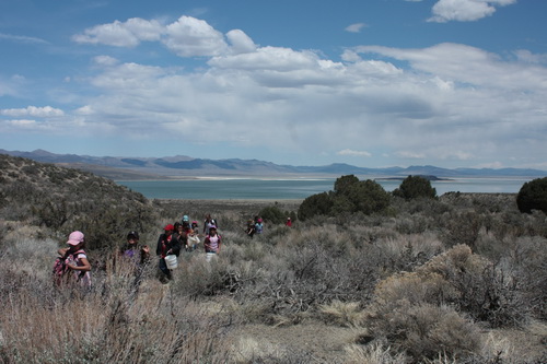 Earth Day on Lee Vining Creek, 2009. Walking down the Creek Trail to plant Jeffrey Pine seedlings. Photo by Santiago Escruceria.