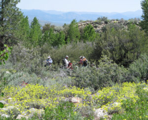 Instructor Mark Bagley leads the wildflower seminar through fields of desert blooms. Photo by Elin Ljung.