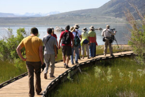 A bird walk at Mono Lake County Park. Photo by Arya Degenhardt.