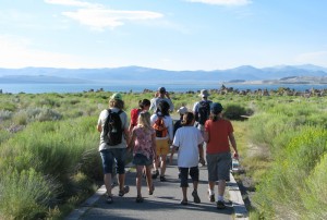 A group embarks upon a 6:00 pm South Tufa tour. Photo by Elin Ljung.