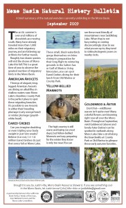 The September Natural History Bulletin---look for it around Lee Vining!