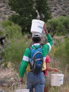 bucket-walker-web Tree watering is just one of the many Mono Basin events taking place this month!