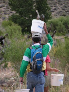 Tree watering is just one of the many Mono Basin events taking place this month!