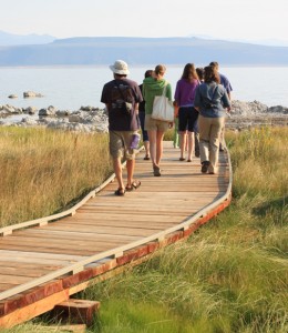 Thousands of people visit the Mono Lake Tufa State Natural Reserve each year. Photo by Arya Degenhardt.