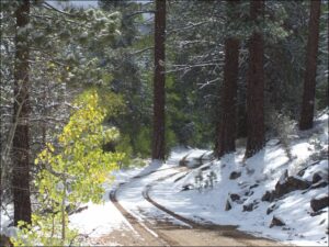 New snow adds magic to a colorful landscape. Photo by Greg Reis.