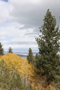 LV Creek fall colors Beautiful aspens line the Lee Vining Creek Trail. Photo by Arya Degenhardt.