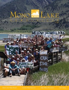 2009 Fall Newsletter cover