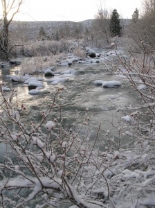 Lee Vining Creek Under Fresh Snow. Photo by Rosanne Wilson.