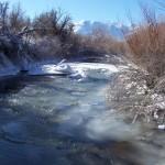 Rush Creek ice dam minutes before it broke. Click to enlarge. Photo by Greg Reis.