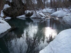 A pool in Lee Vining Creek. An aspen at the top right has been chewed by a beaver.