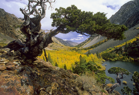 "Lundy Canyon Fall" is one of the images on display in the Committee gallery. Photo courtesy of Robb Hirsch.