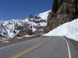 A fresh wet-slide avalanche covers a portion of Tioga Road already plowed. Photo by Greg Reis.