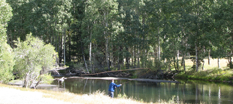 fishing