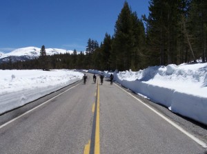 Cyclists enjoy the car-free Tioga Pass Road in Tuolumne Meadows, Yosemite National Park.