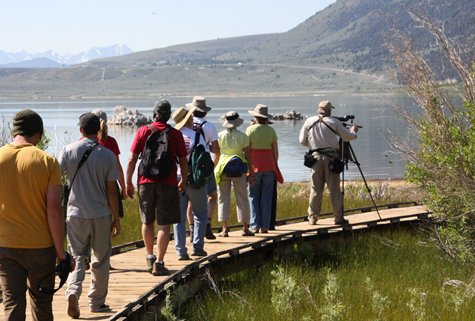 The County Park boardwalk has reopened; go for a visit today! Photo by Arya Degenhardt.