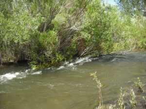 The overflowing channel we forded. Photo by Julia Runcie.