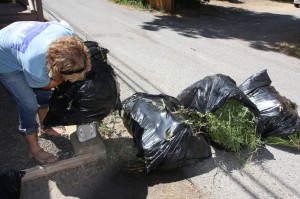 The moment of truth! Weeds are weighed outside the Mono Lake Committee office. Photo by Arya Degenhardt.