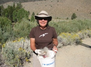 Lisa Cutting, the Committee's Eastern Sierra Policy Director, gathers fishing line.