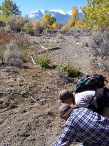 Determining how much water Rush Creek needs is an intensive effort. John Bair and Bill Trush examine tiny cottonwood seedlings that established during the 2010 peak flow. Photo by Greg Reis. Determining how much water Rush Creek needs is an intensive effort. John Bair and Bill Trush examine tiny cottonwood seedlings that established during the 2010 peak flow. Photo by Greg Reis.