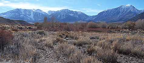 Rush Creek bottomlands, a day before the storm hit.