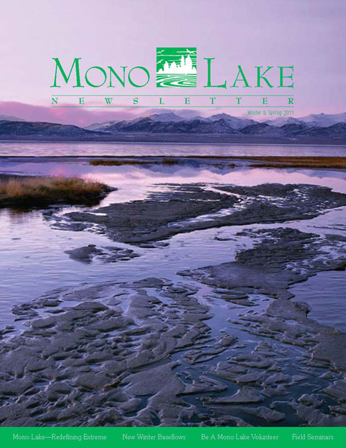 2011 Winter-Spring Mono Lake Newsletter cover