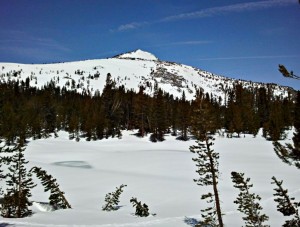 Gaylor Peak from Dana Meadows, Memorial Day 2011.