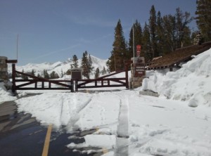 The Ranger Station at Tioga Pass peeks out of the deep snow, Memorial Day, 2011. All photos by Greg Reis.