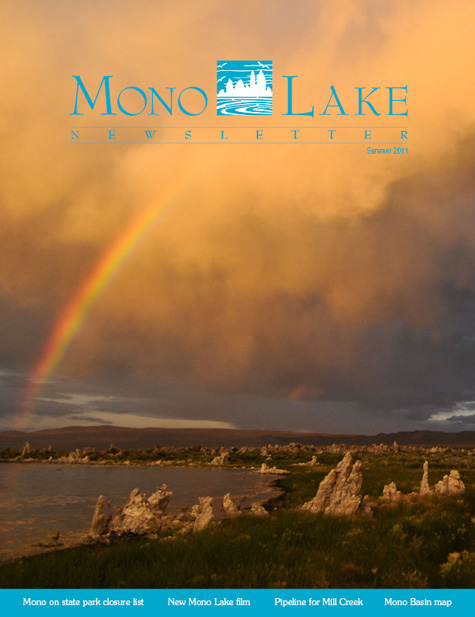 Summer 2011 Newsletter cover Summer 2011 Newsletter cover