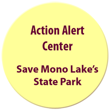 Save Mono Lake's State Park