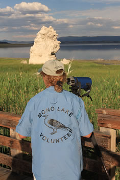 A person wearing a blue shirt with "Mono Lake Volunteer" written on the back with a drawing of a California Gull, standing in front of a spotting scope at a boardwalk bird watching station overlooking a tufa tower and Mono Lake.