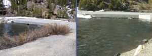 Saddlebag Lake Road culverts, June 5, 2010 on the left (by Greg Reis) and June 15, 2011 on the right (by Julia Runcie). Both years had peak flows over 500 cfs thanks to the upstream reservoir operations and a rapid melting of the snowpack. Saddlebag Lake Road culverts, June 5, 2010 on the left (by Greg Reis) and June 15, 2011 on the right (by Julia Runcie). Both years had peak flows over 500 cfs thanks to the upstream reservoir operations and a rapid melting of the snowpack.