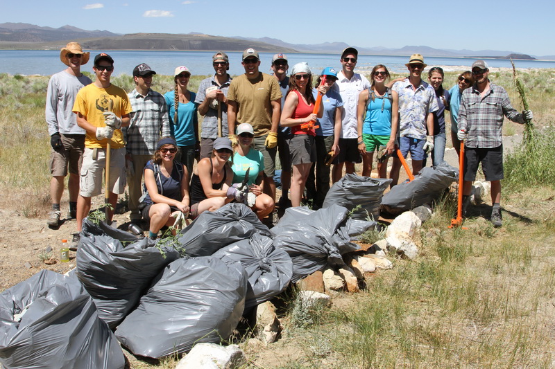 patagonia invasives