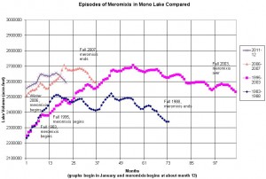 Meromixis is a lack of mixing of Mono Lake's upper and lower water layers in the fall and winter. This occurs when wet year runoff freshens the upper layer, slightly reducing the salinity, and allowing it to float on the lower layer. In the 1980s, water diversions caused the lake to decline, making the upper layer more salty and allowing the lake to mix. Since 1994, dry years have been the primary factor ending meromixis and allowing the lake to mix again.