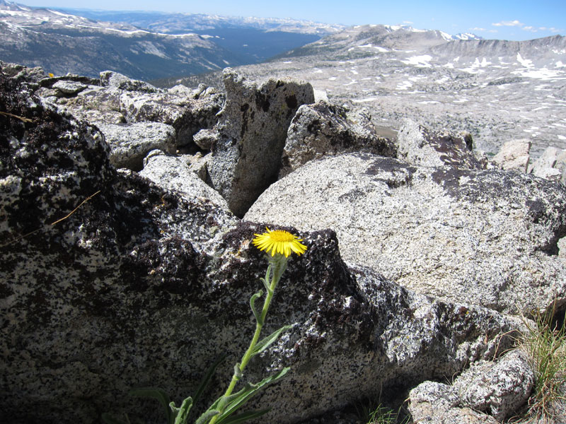 12mt.andreageoff