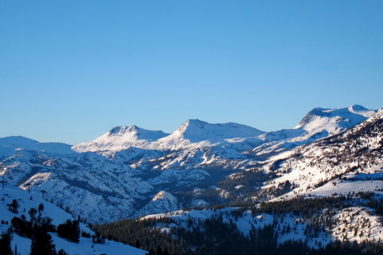 A view across an open snow-covered mountain valley spotted with pine trees to three alpine peaks above the tree line with rocky crags and the bright light and blue shadows of a sunset under a bright blue sky, with the middle peak being Mount Andrea Lawrence.