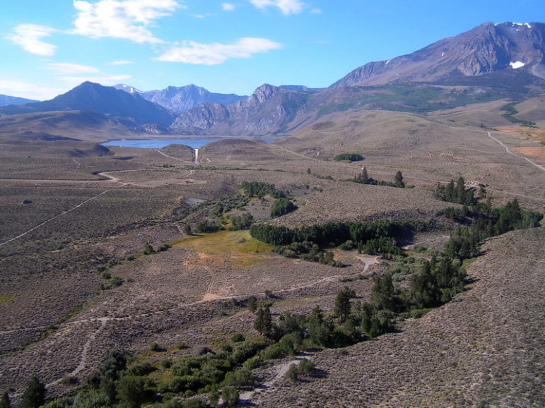 Trees and greenery line Rush Creek in an otherwise brown landscape as it zigzags through the hills. In the background, a blue lake is nestled in the Sierra Nevada mountains.