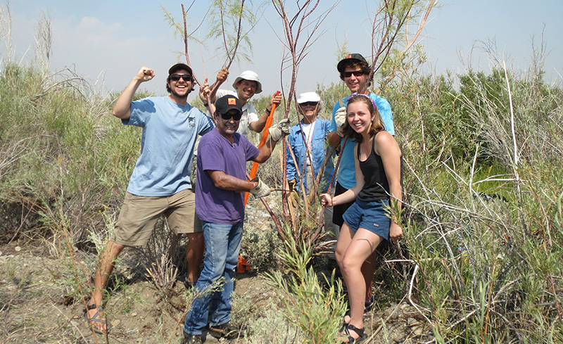 13-08-31-tamarisk-pull-JCarle-050