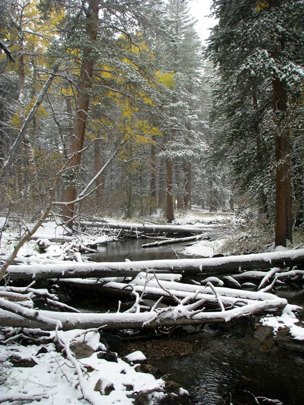 13juliaparker-creek