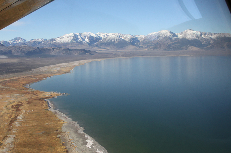13grebecount-flight-over-lake-AD_0035