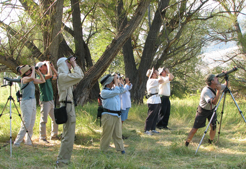 13seminarbirding