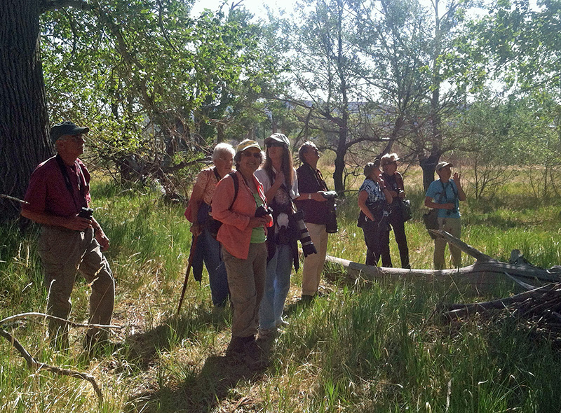 14Co-Park-bird-tour-6-6-14-005group