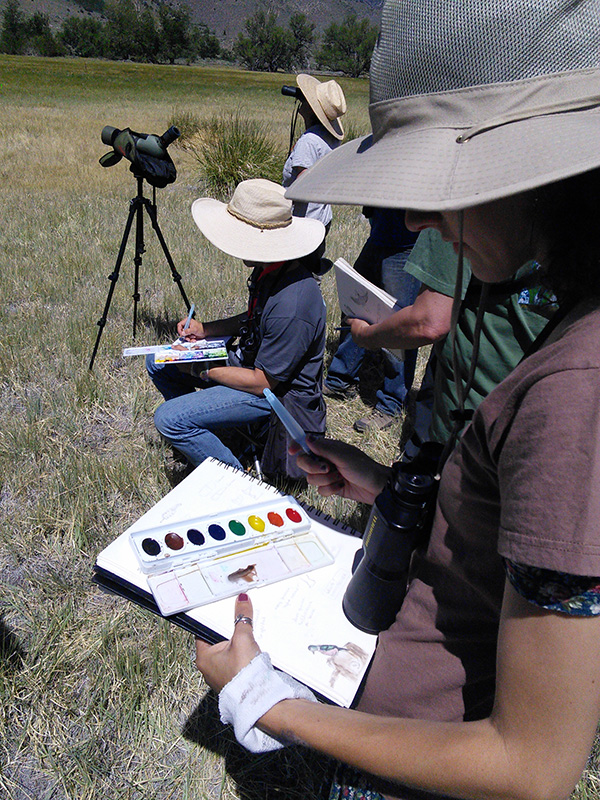monoviewsJack-Laws-field-journaling---Chautauqua