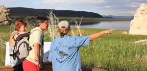 Mono Lake Volunteers rove at South Tufa and County Park with spotting scopes and helpful information for visitors---keep an eye out for their blue shirts! Photo by Arya Degenhardt.