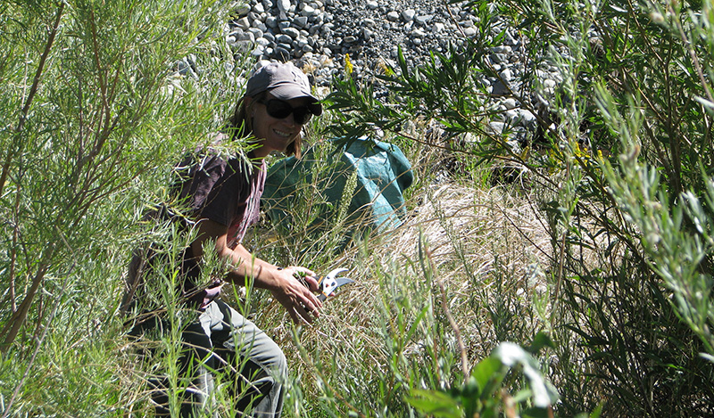 restoration-volunteer-IMG_0474-EO