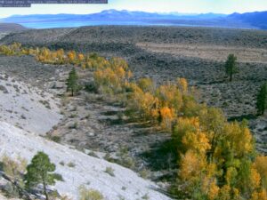 Mill Creek on 10/9/14 from the Mill Creek Webcam.