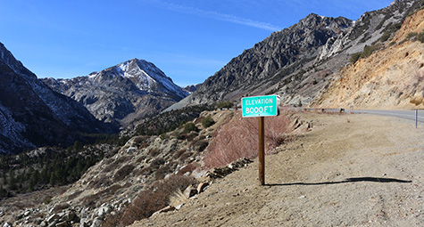 A view of the Tioga Pass Road on January 21, 2015 shows very little snow. Photo by Bartshe Miller.