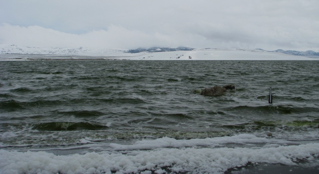 2015-05-08 Mono Lake level, shore, LV Creek, birds LC_1326