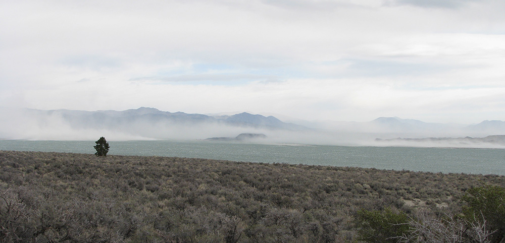 As Mono Lake drops due to the drought more alkali lakebed is exposed to high winds, resulting in air quality violations. Photo by Elin Ljung.